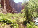 photo thumbnail #7