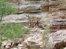 photo thumbnail #12