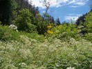 photo thumbnail #12