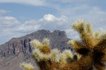 photo thumbnail #5
