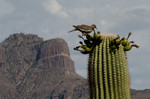 photo thumbnail #10
