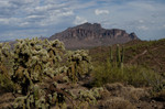 photo thumbnail #11