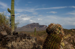 photo thumbnail #13