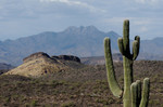 photo thumbnail #14
