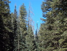 photo thumbnail #12