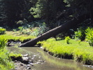 photo thumbnail #9