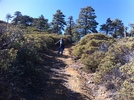 photo thumbnail #2