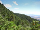 photo thumbnail #10