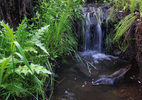 photo thumbnail #2