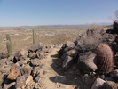 photo thumbnail #8