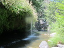 photo thumbnail #15