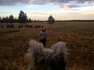 photo thumbnail #3