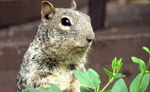 photo thumbnail #4