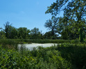 photo thumbnail #11