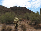 photo thumbnail #2