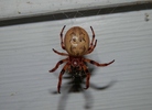 photo thumbnail #1