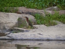 photo thumbnail #13