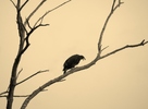 photo thumbnail #14