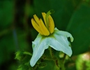 photo thumbnail #15
