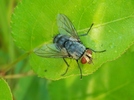 photo thumbnail #9