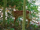 photo thumbnail #13