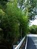photo thumbnail #14