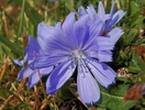 photo thumbnail #15