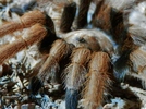 photo thumbnail #1