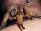 photo thumbnail #2
