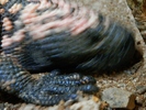 photo thumbnail #13
