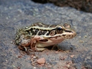 photo thumbnail #5