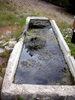 photo thumbnail #15