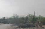 photo thumbnail #9