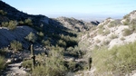 photo thumbnail #1
