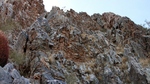 photo thumbnail #15