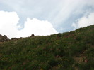 photo thumbnail #9