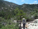 photo thumbnail #15