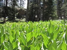 photo thumbnail #15