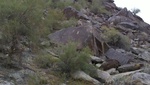 photo thumbnail #4