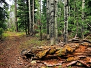 photo thumbnail #1