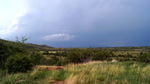 photo thumbnail #12