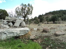 photo thumbnail #10