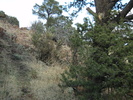 photo thumbnail #11