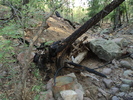 photo thumbnail #14