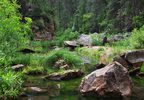 photo thumbnail #1