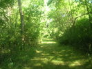 photo thumbnail #1