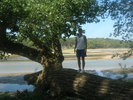 photo thumbnail #5