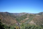 photo thumbnail #15