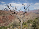 photo thumbnail #10