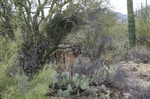 photo thumbnail #1